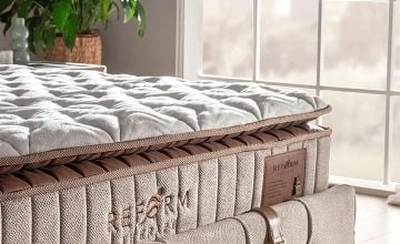 Bambi Reform Therapy